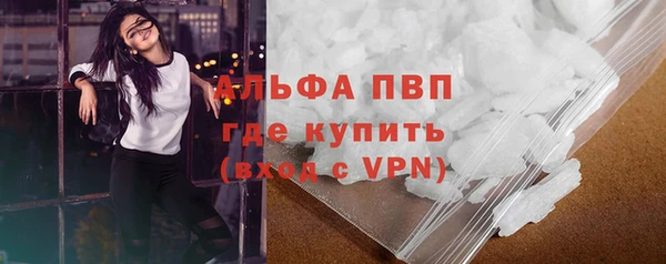 прущие грибы Гусь-Хрустальный