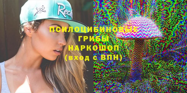 тгк Гусев