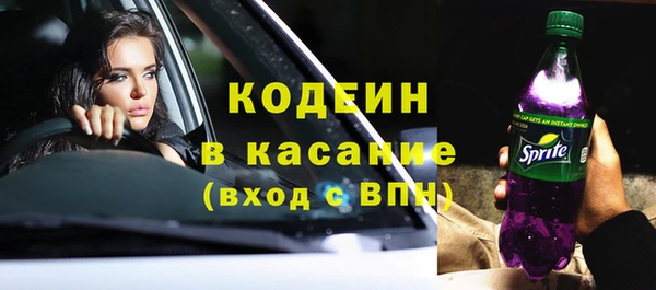 тгк Гусев