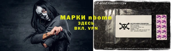 прущие грибы Гусь-Хрустальный