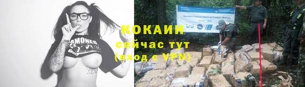 тгк Гусев