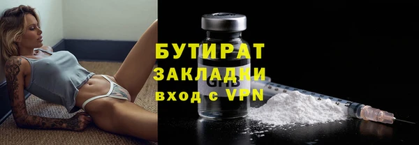 прущие грибы Гусь-Хрустальный
