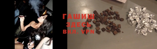 тгк Гусев