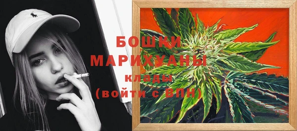 прущие грибы Гусь-Хрустальный