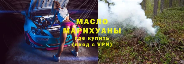 дмт Дмитров