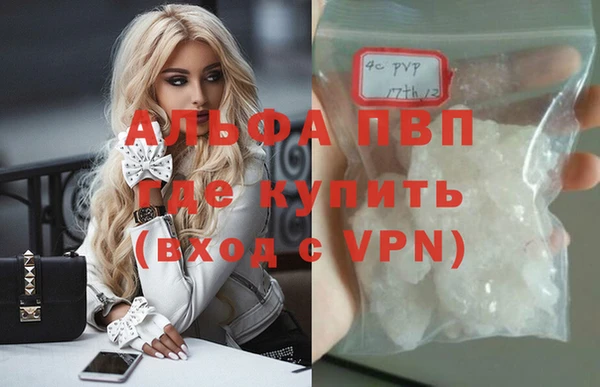 прущие грибы Гусь-Хрустальный