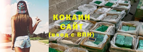 тгк Гусев