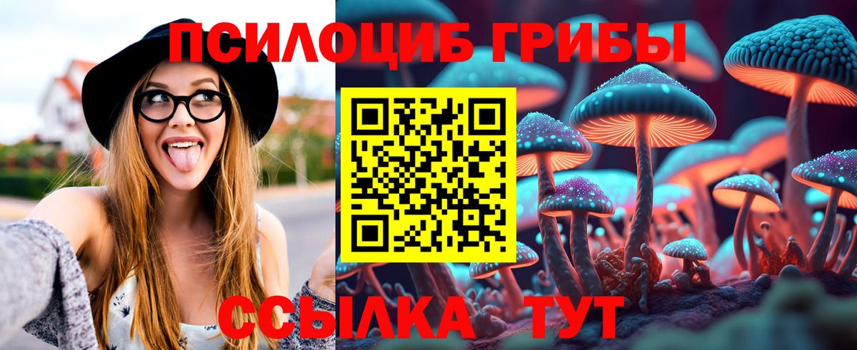 Псилоцибиновые грибы Magic Shrooms  Вход с VPN  Галлюциногенные грибы GOLDEN TEACHER  Сургут 